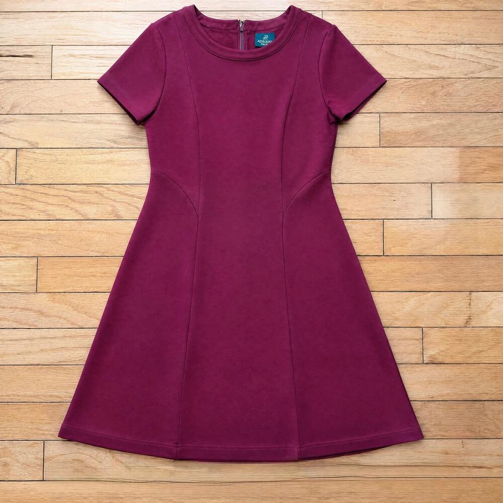 Adrianna Papell Burgundy Short Sleeve Fit and Flare Mini Dress Size US 6